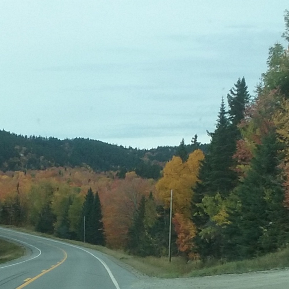 Meet your Posher, 27GraceBoutique